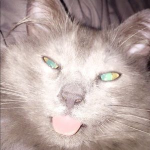 Meet your Posher, Sheraden